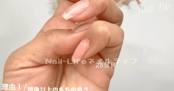 驚きの持続力！約4週間しっかり密着！