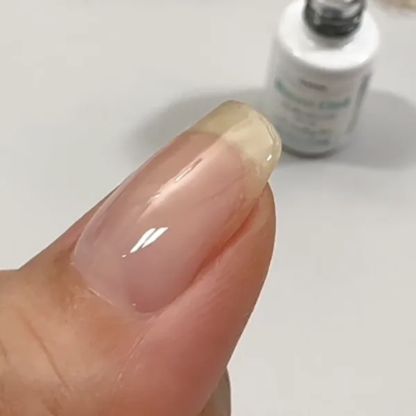 ベースを塗った状態の写真