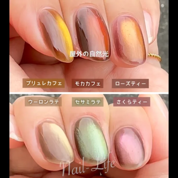 カフェカラー6色を屋外の自然光で見た色味