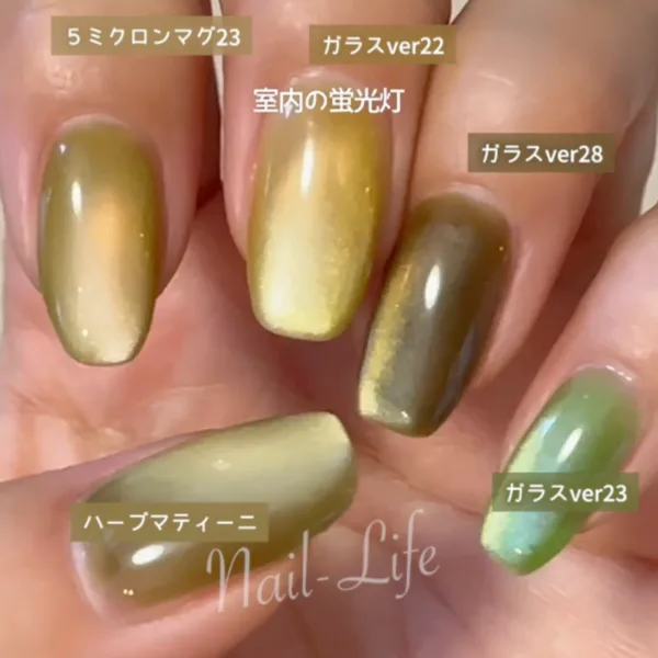 室内の蛍光灯の下で撮影した5色